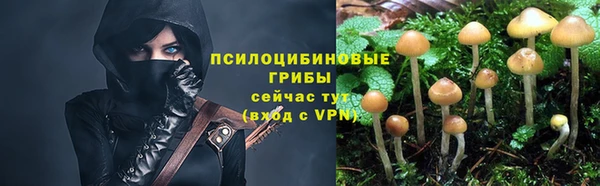 PSILOCYBIN Верхний Тагил