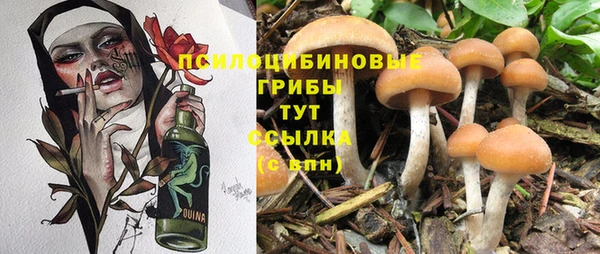PSILOCYBIN Верхний Тагил