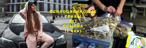 PSILOCYBIN Верхний Тагил