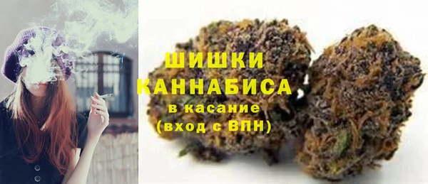 PSILOCYBIN Верхний Тагил