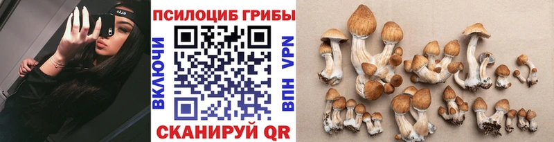 Псилоцибиновые грибы GOLDEN TEACHER  Володарск 