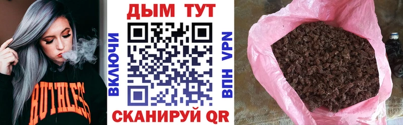 наркотики  Володарск  Шишки марихуана индика 